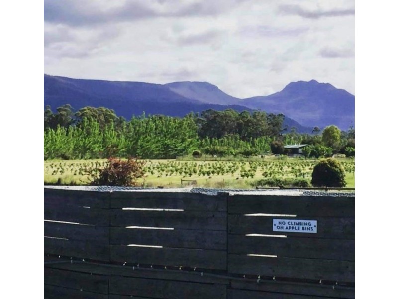 Lot 1 71 Mountain River Road, Grove TAS 7109