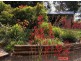 412 Whian Whian Rd, Whian Whian NSW 2480