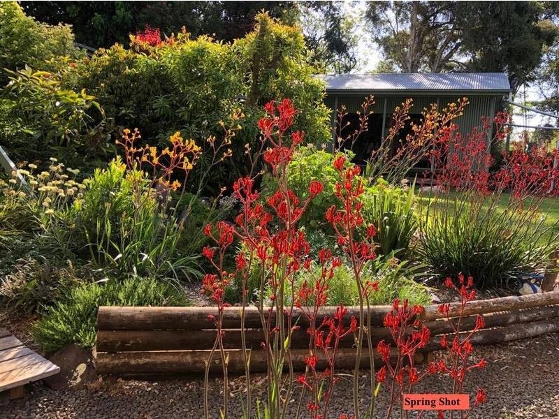 412 Whian Whian Rd, Whian Whian NSW 2480