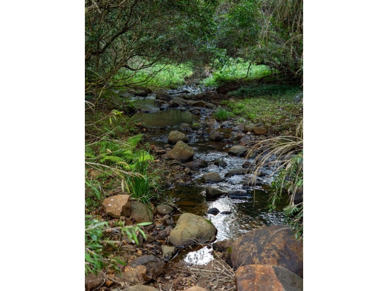 412 Whian Whian Rd, Whian Whian NSW 2480