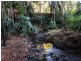 412 Whian Whian Rd, Whian Whian NSW 2480