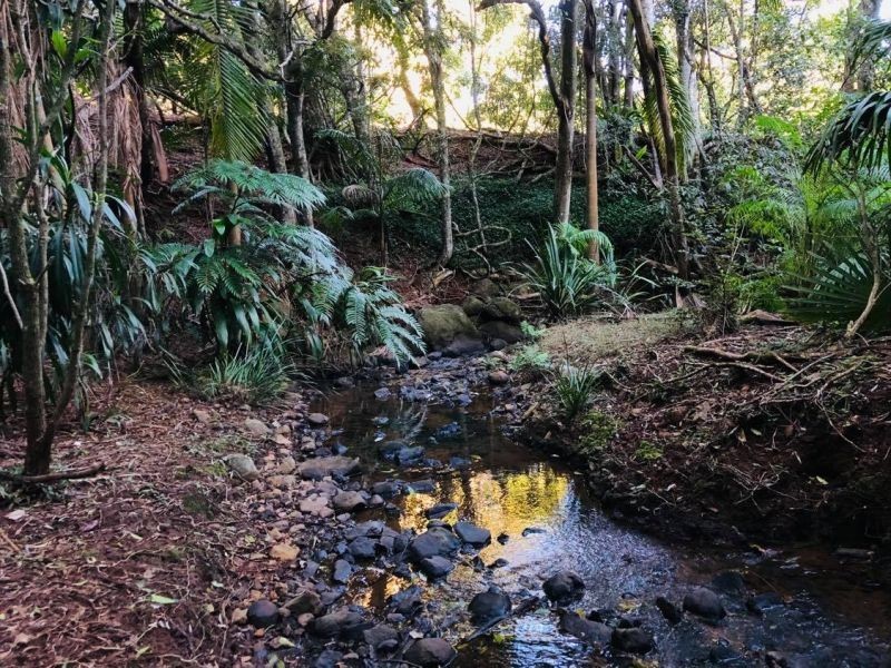 412 Whian Whian Rd, Whian Whian NSW 2480