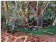 412 Whian Whian Rd, Whian Whian NSW 2480