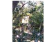 Innes Park QLD 4670