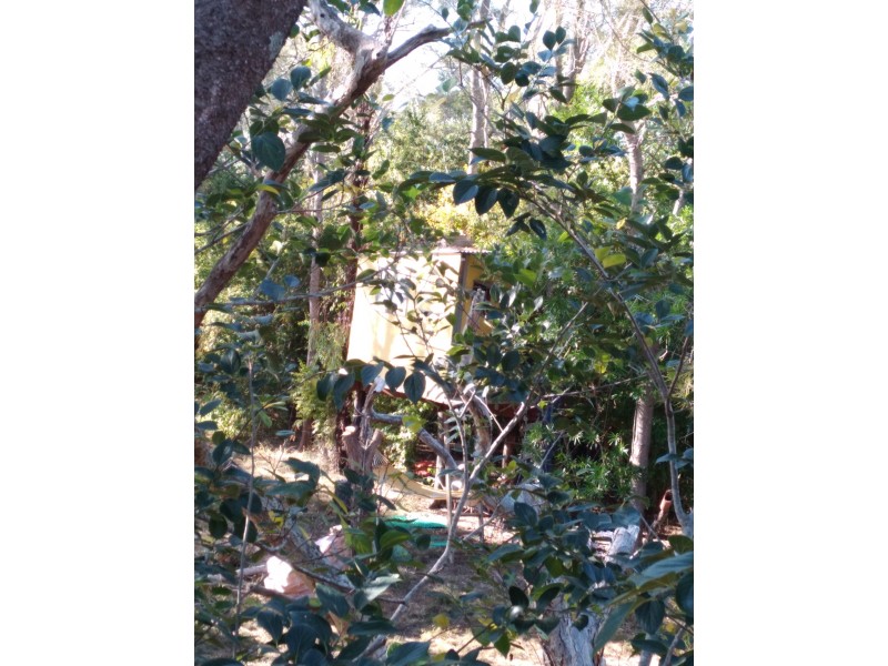 Innes Park QLD 4670