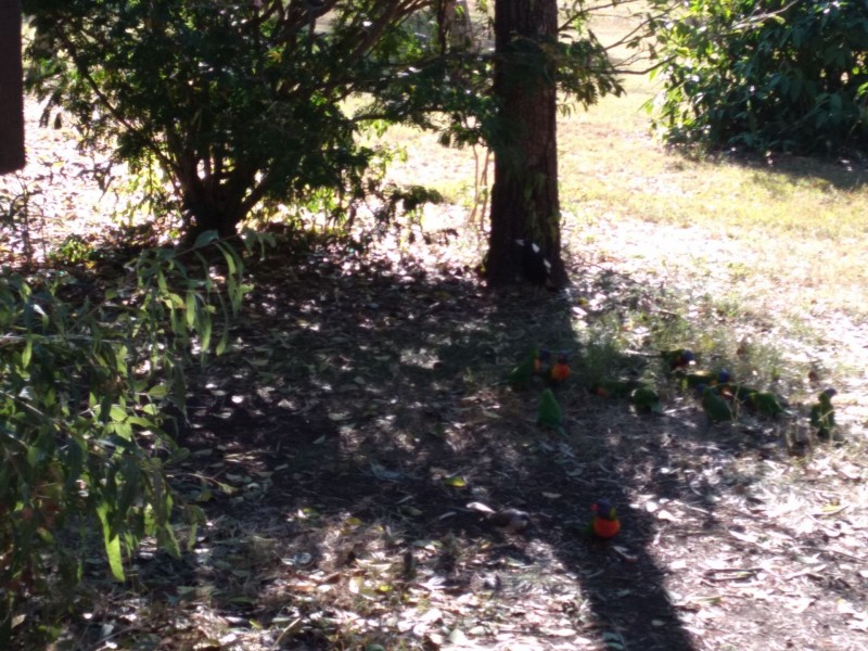 Innes Park QLD 4670