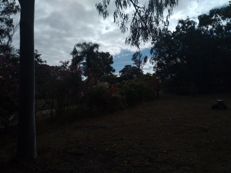 Innes Park QLD 4670