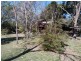 Innes Park QLD 4670