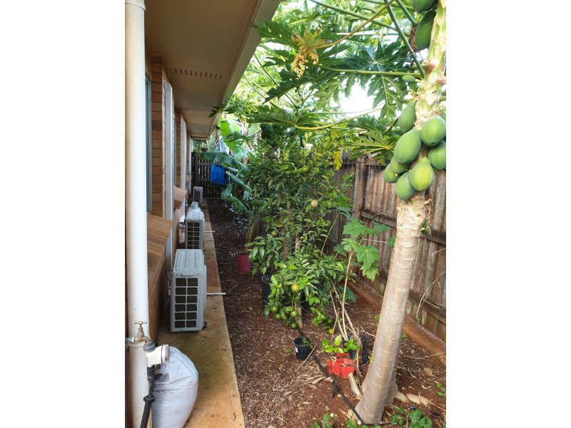 17 Limpus Cres, Kalkie QLD 4670