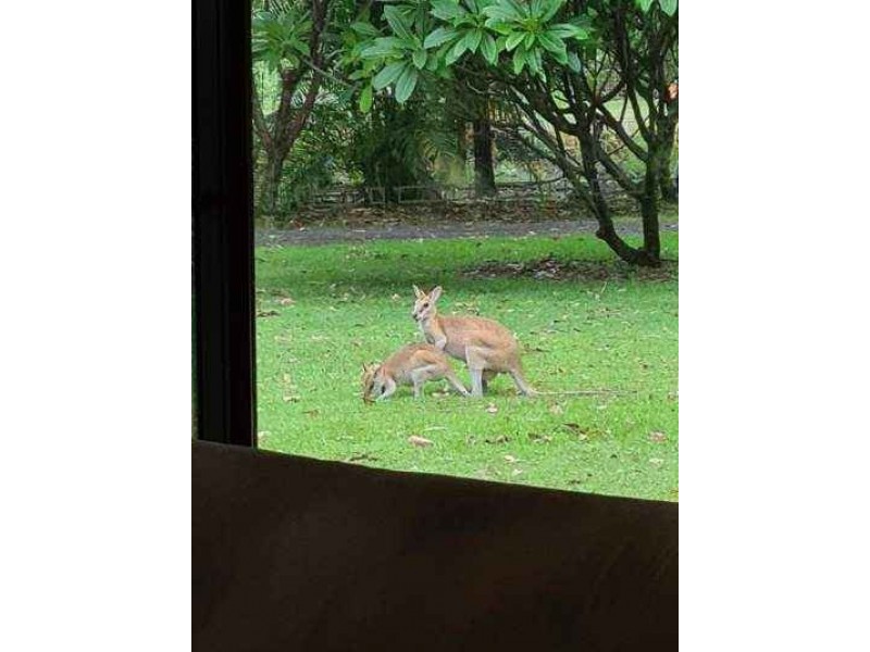 Lot 123 Weaber Plain Rd, Kununurra WA 6743