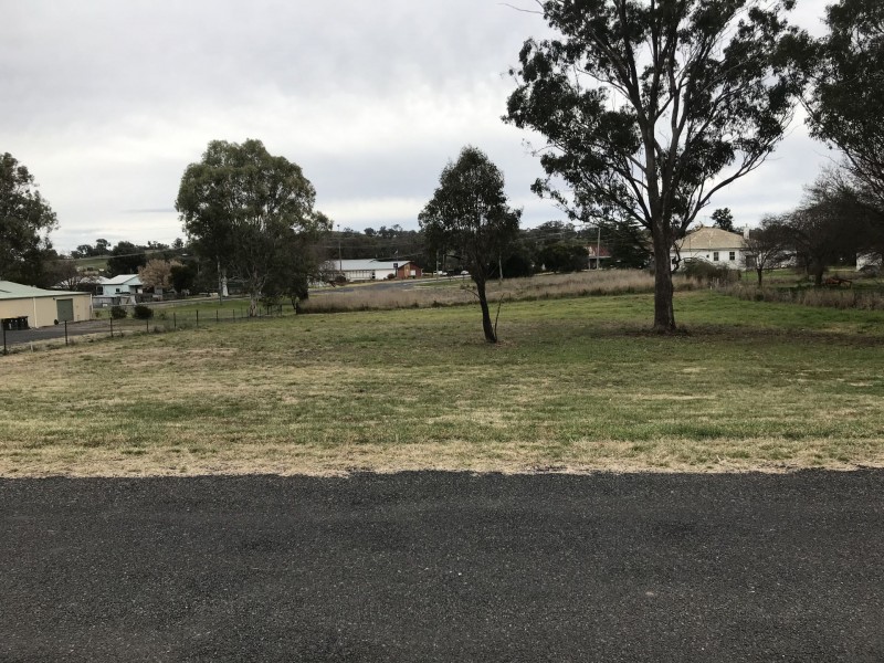 3 Boree Street, Cudal NSW 2864