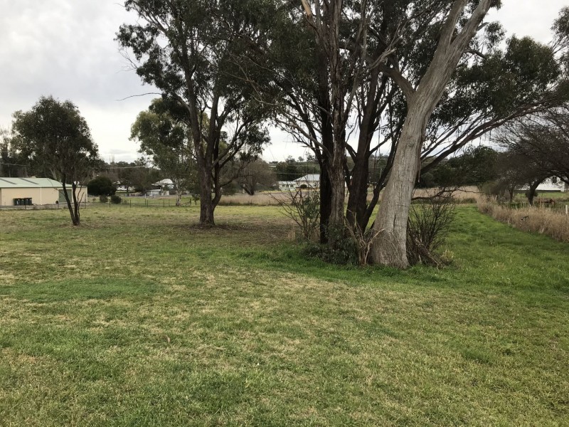 3 Boree Street, Cudal NSW 2864