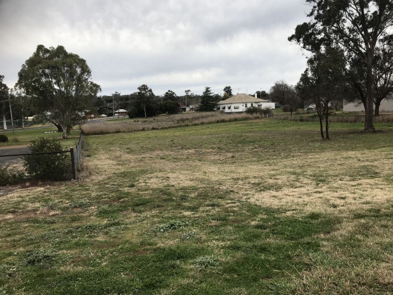 3 Boree Street, Cudal NSW 2864