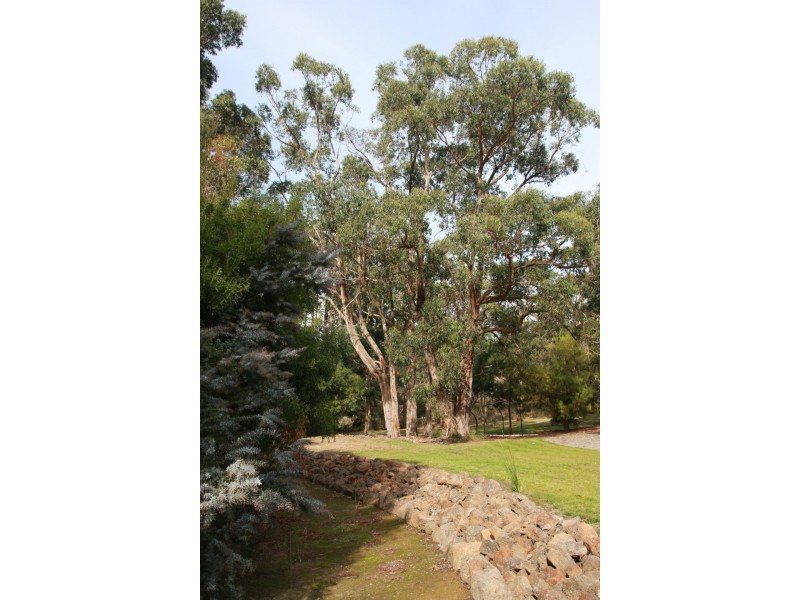 Barongarook VIC 3249