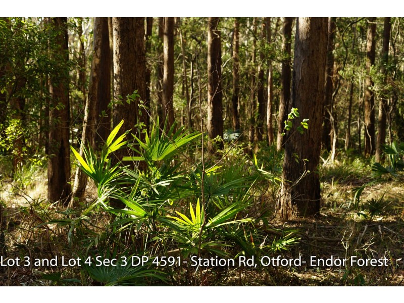 Lot 4 Station Road, Otford NSW 2508