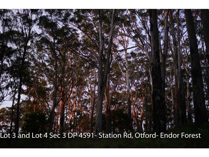 Lot 4 Station Road, Otford NSW 2508