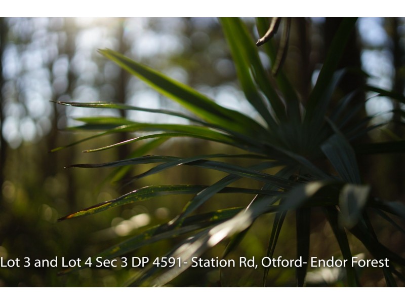 Lot 4 Station Road, Otford NSW 2508
