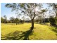 1396 Eumundi Noosa Rd, Eumundi QLD 4562