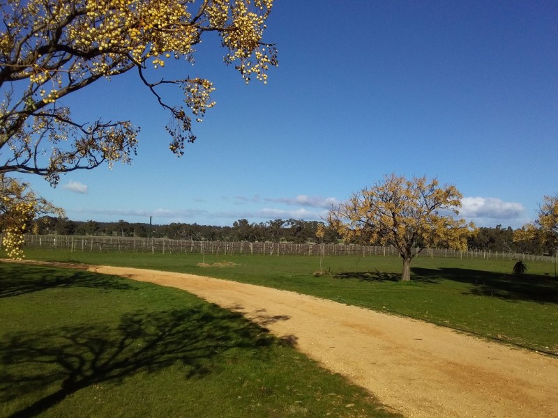 633 Carapooee Road, Carapooee VIC 3477