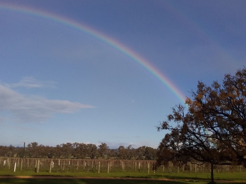 633 Carapooee Road, Carapooee VIC 3477