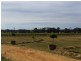 633 Carapooee Road, Carapooee VIC 3477