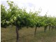 633 Carapooee Road, Carapooee VIC 3477