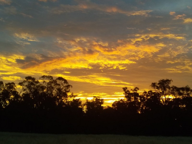 633 Carapooee Road, Carapooee VIC 3477