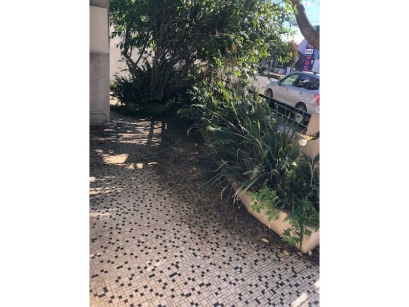 265 Corunna Rd, Petersham NSW 2049