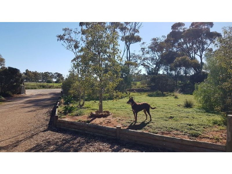 172 Noel Smith Rd, Telowie SA 5540