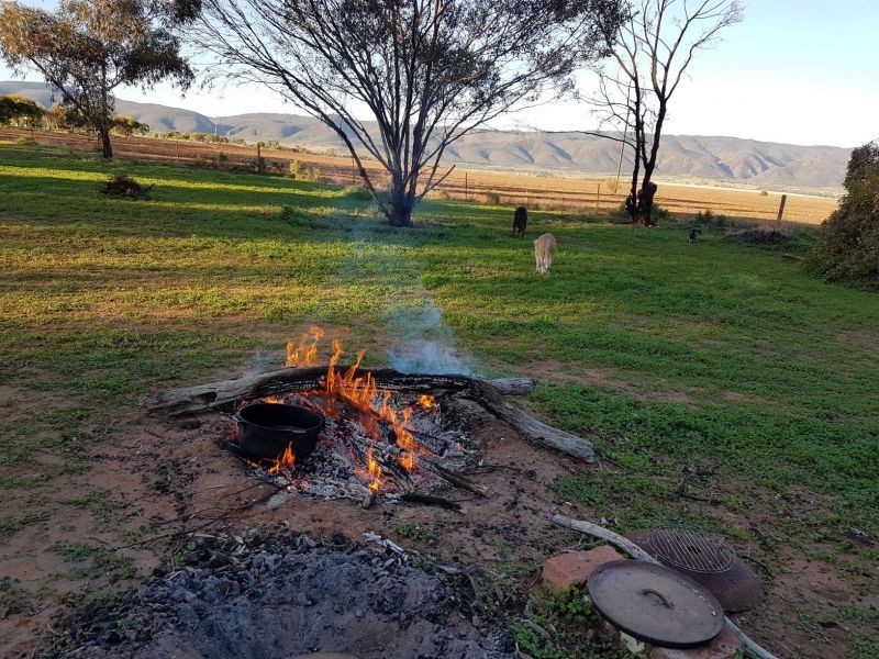 172 Noel Smith Rd, Telowie SA 5540