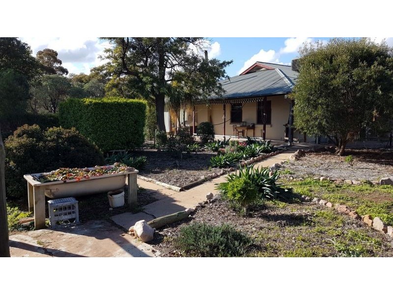 172 Noel Smith Rd, Telowie SA 5540