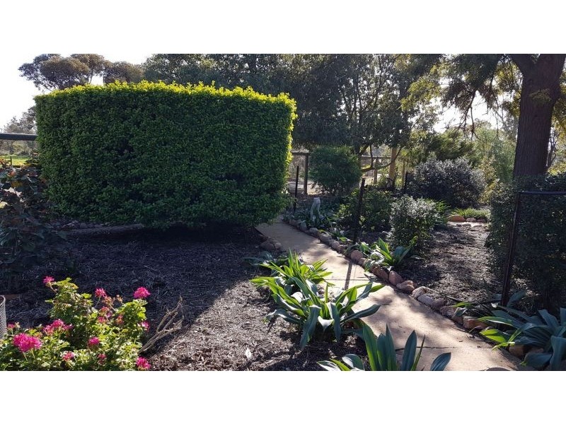 172 Noel Smith Rd, Telowie SA 5540