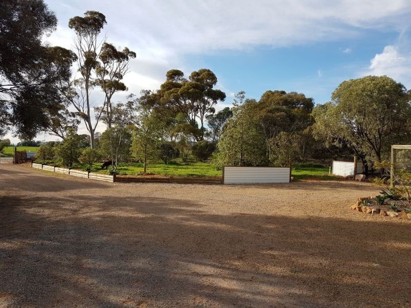 172 Noel Smith Rd, Telowie SA 5540