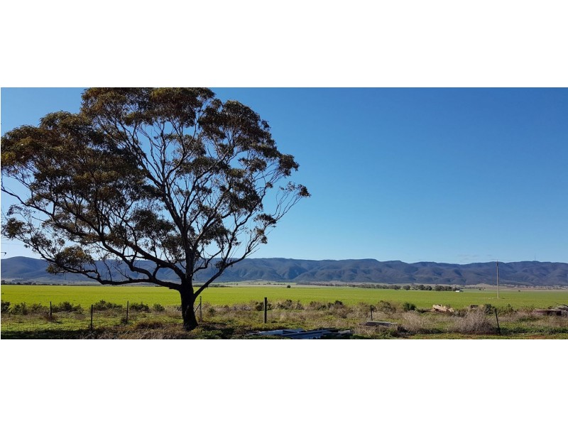 172 Noel Smith Rd, Telowie SA 5540