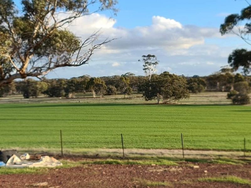 2912 York Quairading Road, East Beverley WA 6304