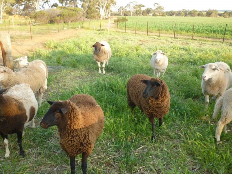 2912 York Quairading Road, East Beverley WA 6304