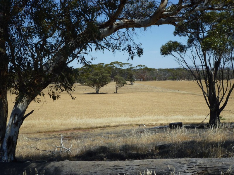 2912 York Quairading Road, East Beverley WA 6304