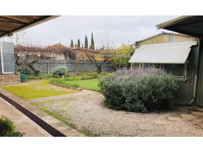 5 Munro Avenue, Sefton Park SA 5083