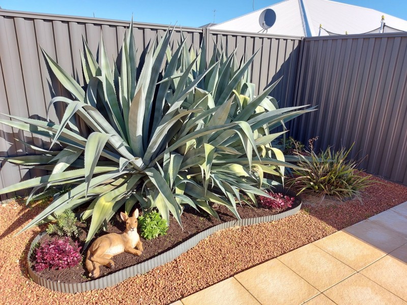 10 Aventurine way, Byford WA 6122