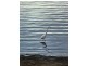 77 St Helens Point Road, Stieglitz TAS 7216