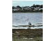 77 St Helens Point Road, Stieglitz TAS 7216