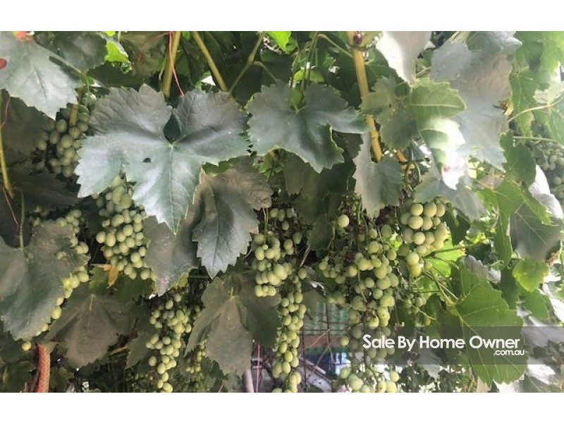 RMB 1613 Apple tree Flat Road, Atholwood NSW 2361