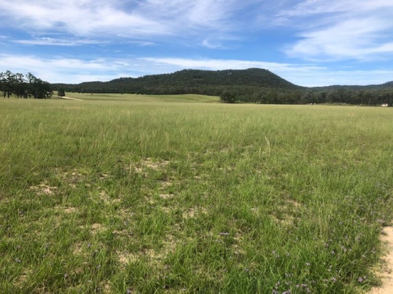 RMB 1613 Apple tree Flat Road, Atholwood NSW 2361