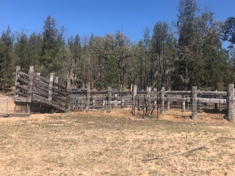 RMB 1613 Apple tree Flat Road, Atholwood NSW 2361