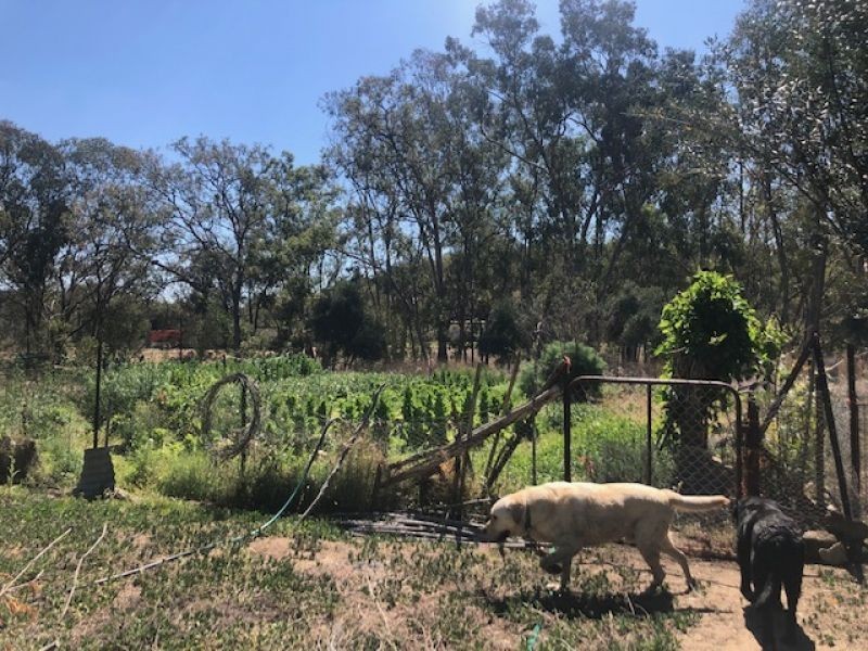 RMB 1613 Apple tree Flat Road, Atholwood NSW 2361