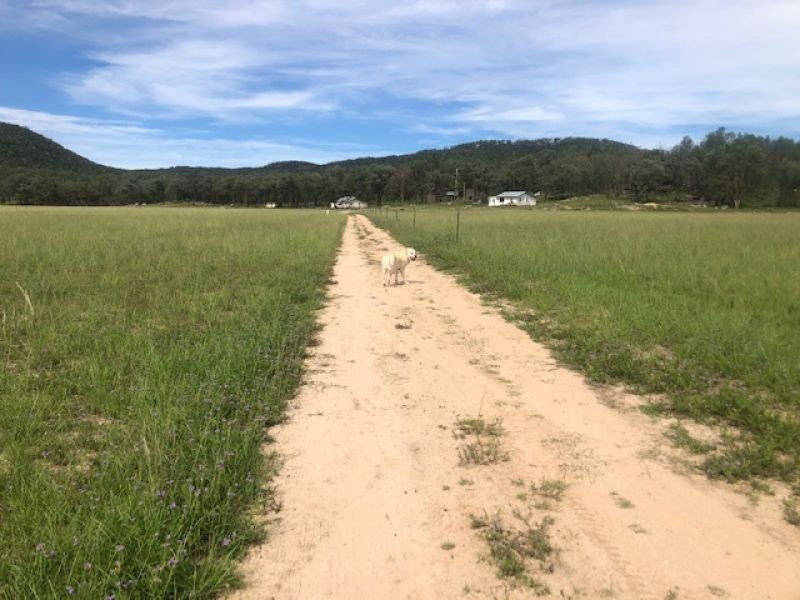 RMB 1613 Apple tree Flat Road, Atholwood NSW 2361