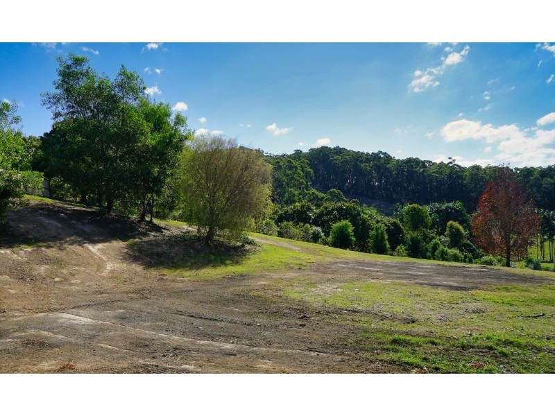 50 Honeyeater Place, Bli Bli QLD 4560