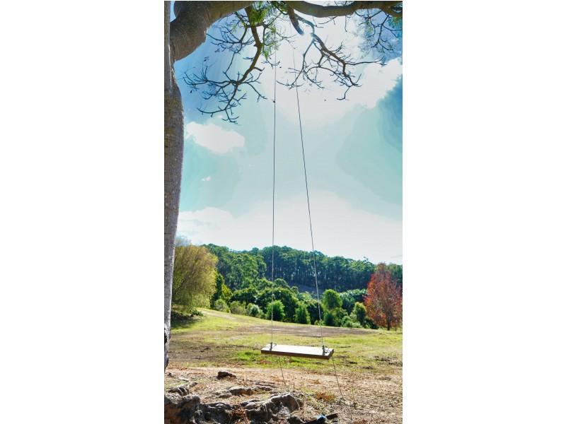 50 Honeyeater Place, Bli Bli QLD 4560