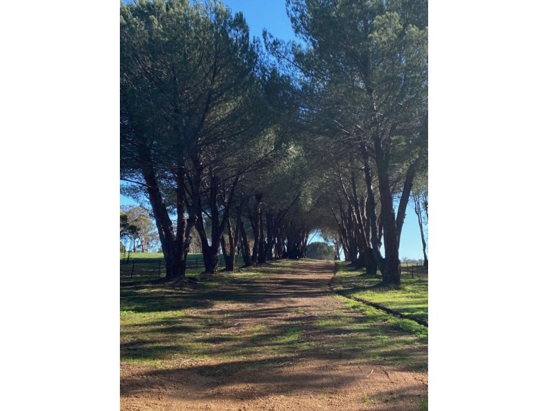 1502 Helena Rd, Mount Observation WA 6302