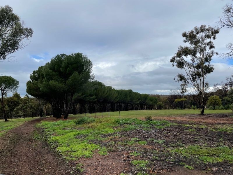 1502 Helena Rd, Mount Observation WA 6302